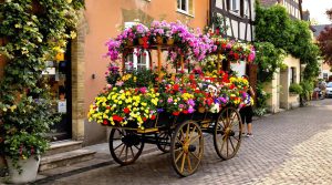 Chariot fleuri dans une rue pavée